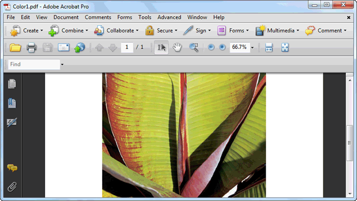 Adobe Reader Free Download