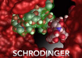 Schrodinger Suites 2017 Free Download