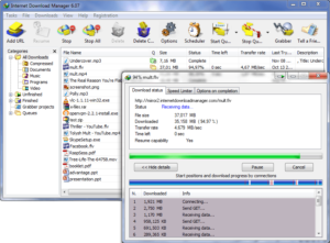 IDM Internet Download Manager Full Version