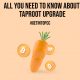 All You Need to Know about Taproot Upgrade