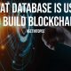 What Database is Used to Build Blockchain